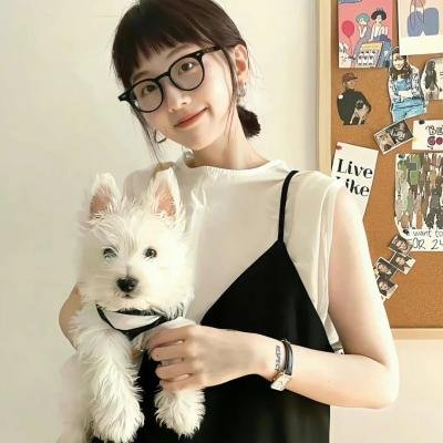 报告老板第二季